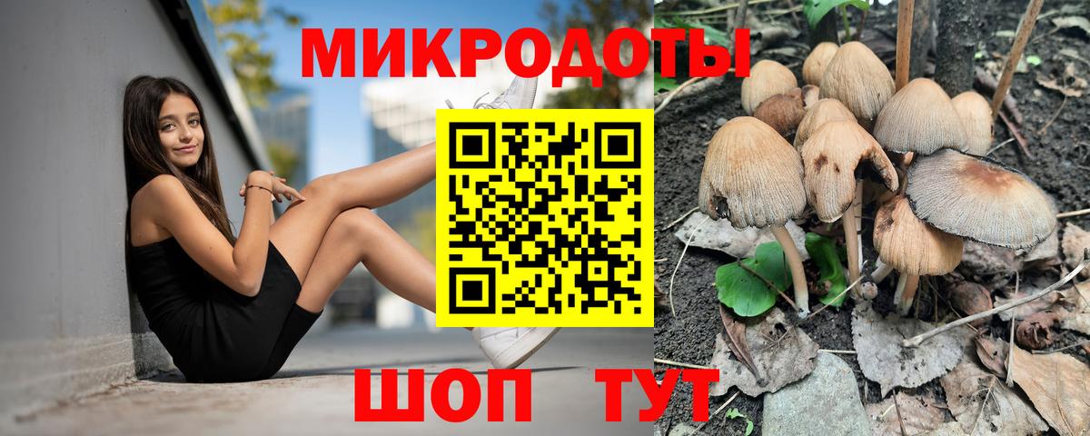 Галлюциногенные грибы Psilocybe  Вход с VPN  Всеволожск 