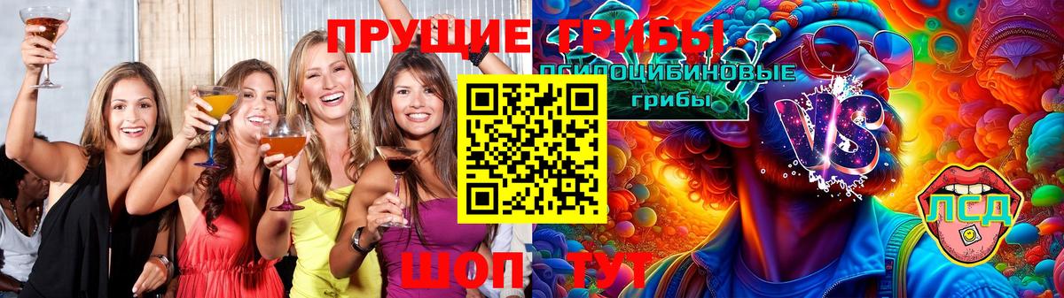 Псилоцибиновые грибы мухоморы Всеволожск